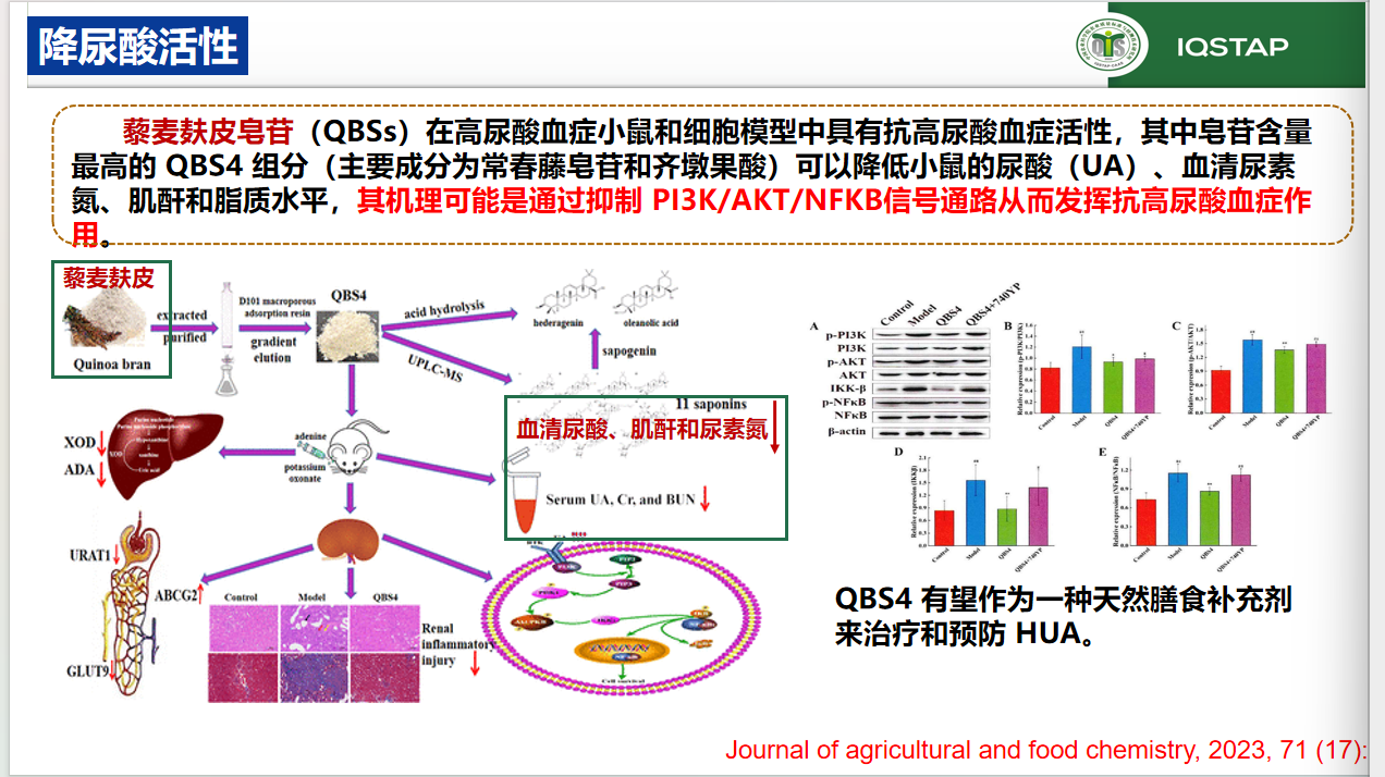 降尿酸活性研究